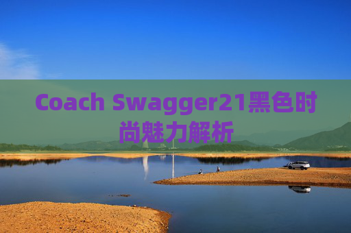 Coach Swagger21黑色时尚魅力解析